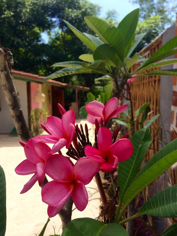 Villas Samalama Gili Air Ngoại thất bức ảnh
